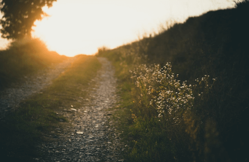 Apertura de caminos LAURA